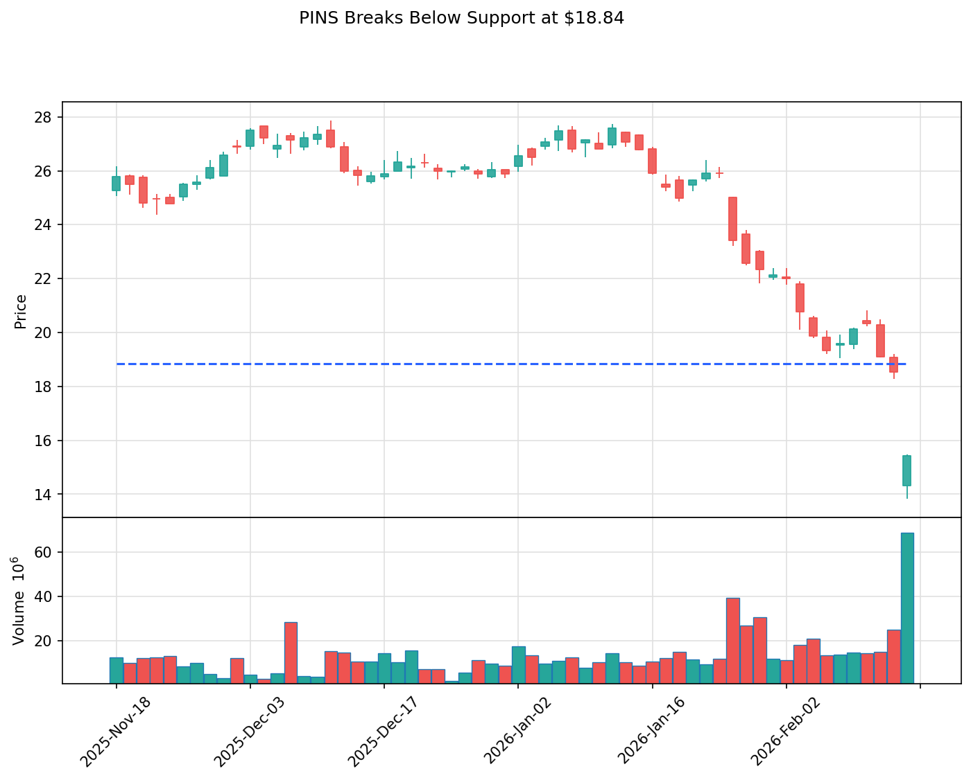 PINS breakout chart